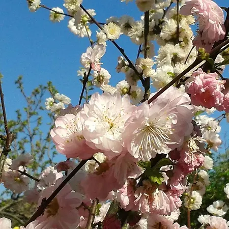 Quarto em Acomodações Particulares Wachau