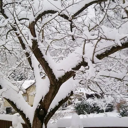 Homestay Wachau