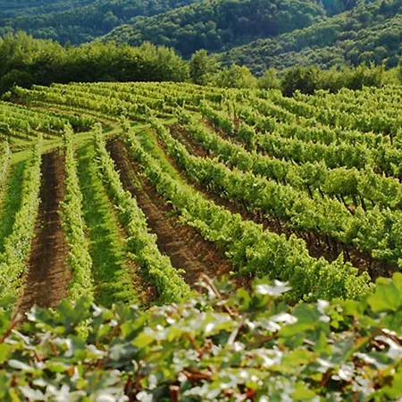 Wachau *