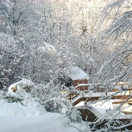 Homestay Wachau *