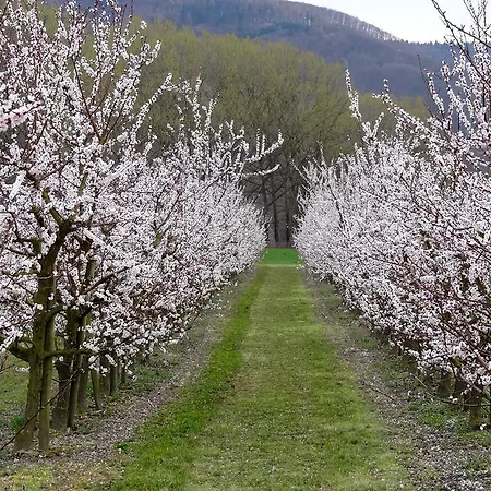 Wachau Aggsbach